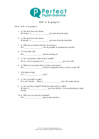 will_or_be_going_to.pdf